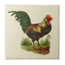 Search for country kitchen tiles Farmhouse