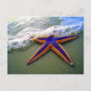 Search for bright colours postcards Tropical
