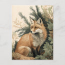 Search for red foxes postcards Nature