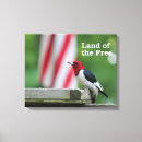 Search for bird watcher canvas prints Ornithology