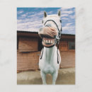 Search for mouth postcards Outdoors