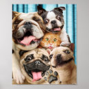 Search for cute dog posters Cat