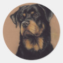 Search for rottweiler dog stickers Pet