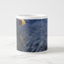 Search for blue parrot mugs Macaw