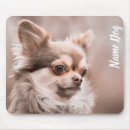Search for chihuahua mousepads Pet