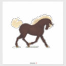 Search for rocky mountain horse Stallion