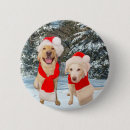 Search for yellow lab badges Dogs
