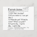 Search for ferrets postcards Pet