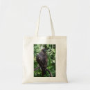 Search for tail bags Birds