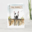 Search for bull English bull terrier