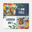 Search for dog fed magnets Pet