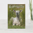 Search for sing birthday cards Happy