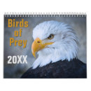 Search for bald eagle calendars Hawk