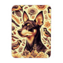 Search for pinscher magnets Dog