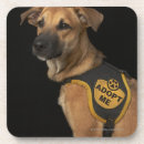Search for adopt barware Animal