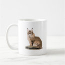 Search for maine coon mugs Cute