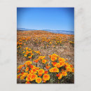 Search for reserved postcards Flowers