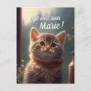 Search for catlover cards Kittens