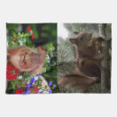 Search for pine nut Cute