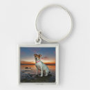 Search for dawn key rings Photography