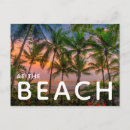 Search for costa rica postcards Palm tree