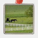 Search for amish christmas tree decorations Buggy