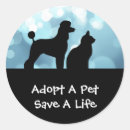 Search for pounds stickers Dog pound