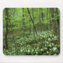 Search for heaven mousepads Forest
