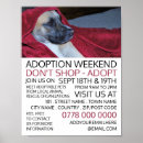 Search for pet adoption posters Animals