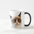 Search for grumpy mugs cat