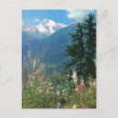 Search for springtime postcards Mountain