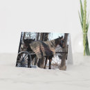 Search for blanket cards Photography