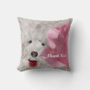 Search for labradoodle cushions Dad