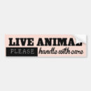 Search for kennels For pets
