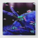 Search for aquarium clocks Blue