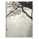 Search for unusual notebooks Black