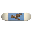 Search for hawks skateboards Bird of prey