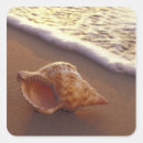 Search for maui hawaii stickers Sea