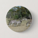 Search for zebras badges Animals