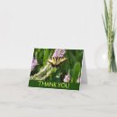 Search for swallowtail butterfly cards Photography