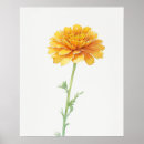 Search for marigold art October