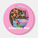 Search for cheshire magnets Cat