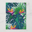 Search for tropical greenery postcards Botanical