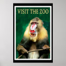 Search for vintage zoo posters Visit the zoo
