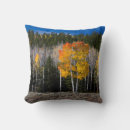 Search for broadleaved Aspen