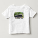 Search for stone mountain tshirts Green