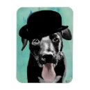 Search for bowler magnets Steampunk