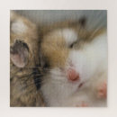 Search for hamster puzzles Furry