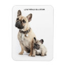 Search for pedigree magnets Cute