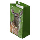 Search for bambi crafts party Fawn